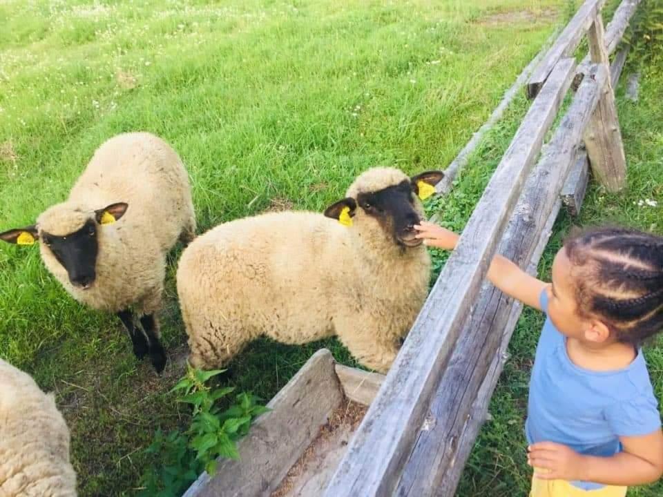 Namelis Nr 1 Adeles Sodyba Sturmai Zewnętrze zdjęcie